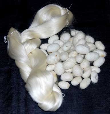Tipuri de mătase naturală 1 mulberry raw silk 500x500 2